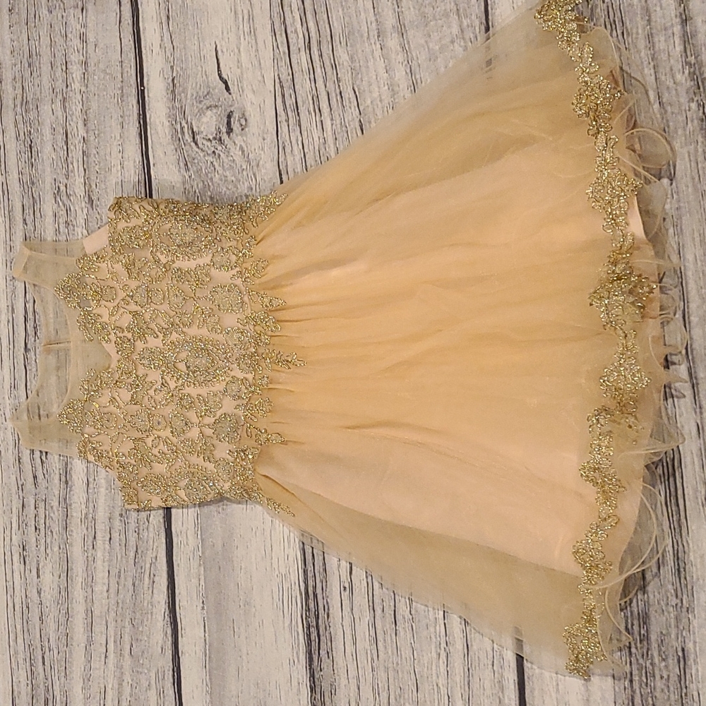 Girl's Fancy Dress with Gold Leaf Embroidery